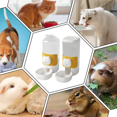 Mangeoire suspendue à distribution automatique pour lapins