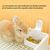 FurryFusion Bol 2-en-1 pour petits animaux