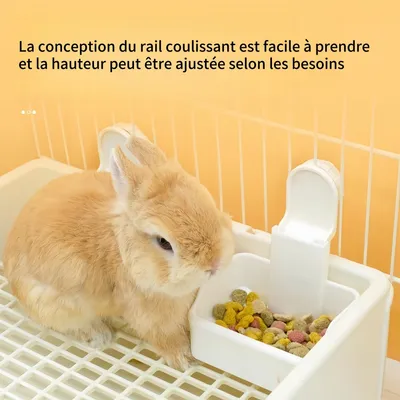 FurryFusion Bol 2-en-1 pour petits animaux