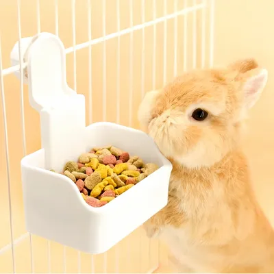 FurryFusion Bol 2-en-1 pour petits animaux