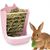 Zoomtopia Gamelle 2 en 1 pour lapin