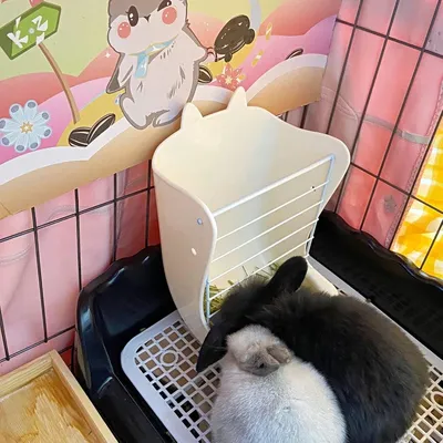 Zoomtopia Gamelle 2 en 1 pour lapin