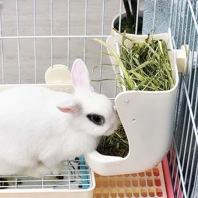 Zoomtopia Gamelle 2 en 1 pour lapin