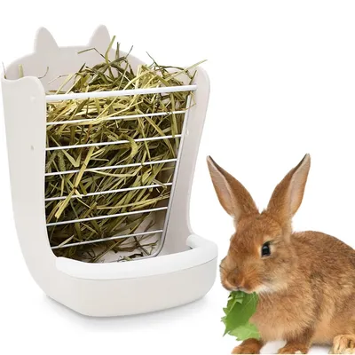 Zoomtopia Gamelle 2 en 1 pour lapin