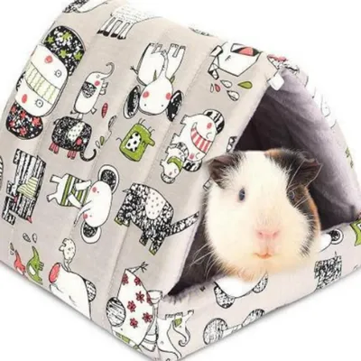 Pawzy Cachette pour cochon d'Inde