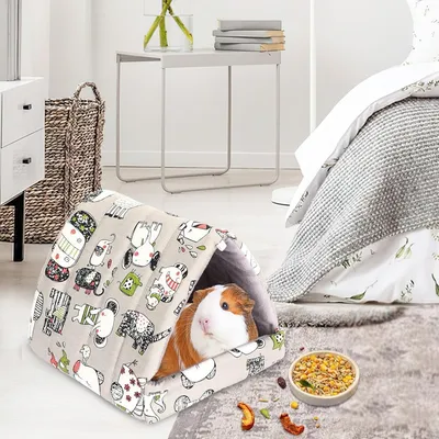 Pawzy Cachette pour cochon d'Inde