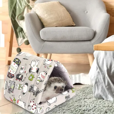 Pawzy Cachette pour cochon d'Inde