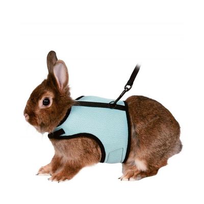 Zoomtopia Laisse réglable en nylon pour animaux de compagnie