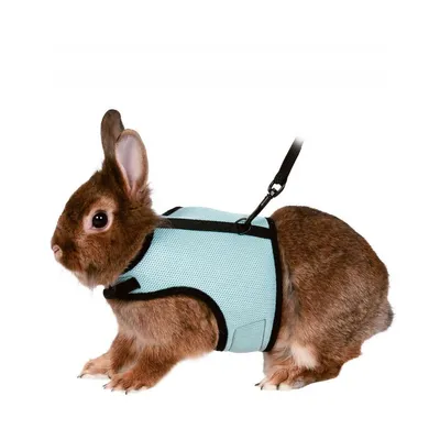 Zoomtopia Laisse réglable en nylon pour animaux de compagnie