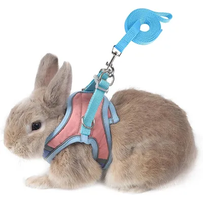 Zoomtopia Harnais avec laisse pour lapin et petits animaux