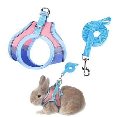 Zoomtopia Harnais avec laisse pour lapin et petits animaux