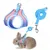 Zoomtopia Harnais avec laisse pour lapin et petits animaux