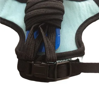 Zoomtopia Laisse réglable en nylon pour animaux de compagnie