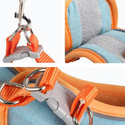 Zoomtopia Harnais avec laisse pour lapin et petits animaux