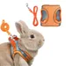 Zoomtopia Harnais avec laisse pour lapin et petits animaux