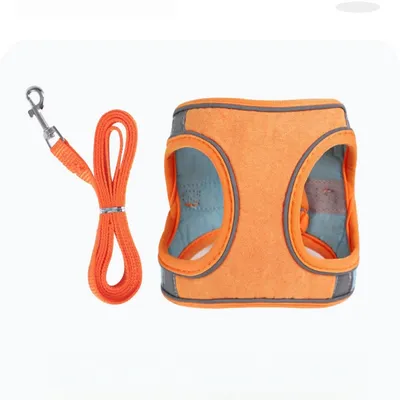 Zoomtopia Harnais avec laisse pour lapin et petits animaux