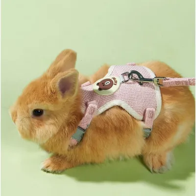 Pawzy Harnais pour lapin Taille S