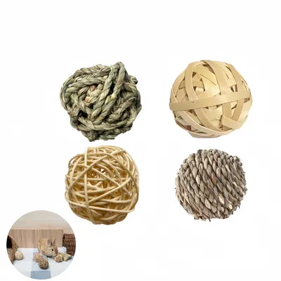 Pawzy Balle de mâchage pour petits animaux