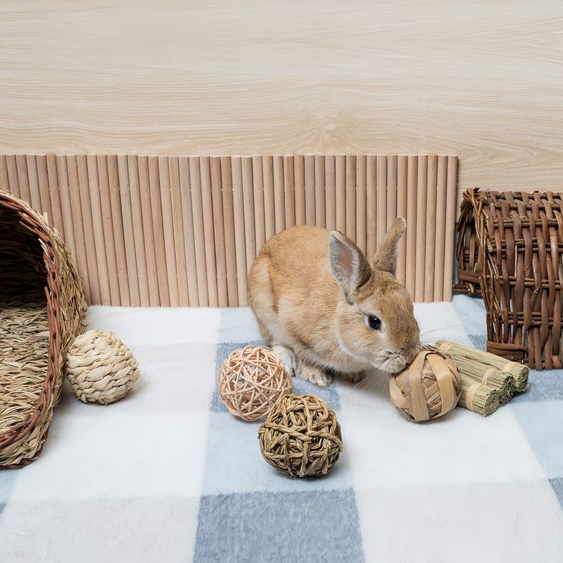 Pawzy Balle de mâchage pour petits animaux