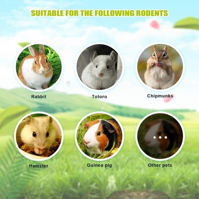 Pawzy Balle de mâchage pour petits animaux