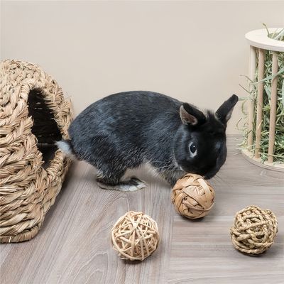 Pawzy Balle de mâchage pour petits animaux