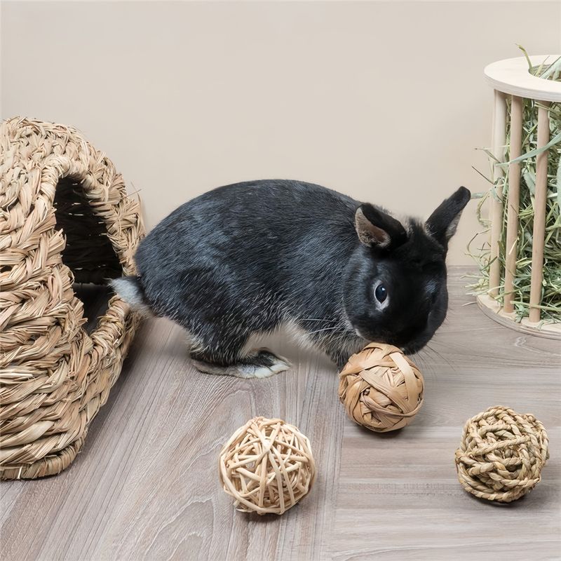 Pawzy Balle de mâchage pour petits animaux