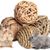 Pawzy Balle de mâchage pour petits animaux