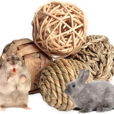 Pawzy Balle de mâchage pour petits animaux