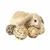 FurryFusion lot de 4 Balles d'herbe pour rongeurs