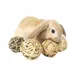 FurryFusion lot de 4 Balles d'herbe pour rongeurs