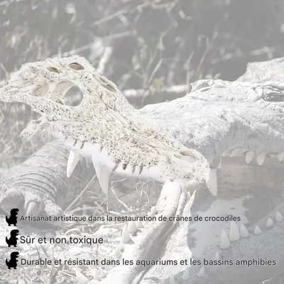 ZooVenture Décoration d'aquarium en forme de dinosaure pour poissons