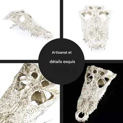 ZooVenture Décoration d'aquarium en forme de dinosaure pour poissons