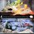 ZooVenture Décoration d'aquarium en forme de dinosaure pour poissons