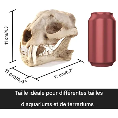 ZooVenture Décoration d'aquarium en forme de dinosaure pour poissons