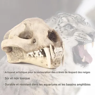 ZooVenture Décoration d'aquarium en forme de dinosaure pour poissons