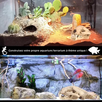 ZooVenture Décoration d'aquarium en forme de dinosaure pour poissons