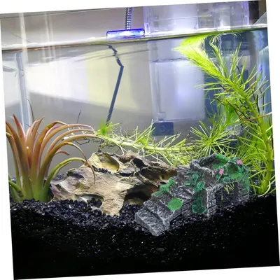 Pawzy Décoration d'aquarium en résine