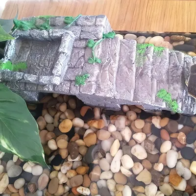 Pawzy Décoration d'aquarium en résine