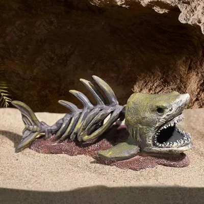 ZooVenture Décoration d'aquarium en forme d'os de poisson pour poissons