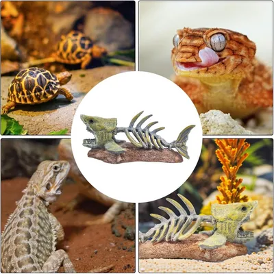 ZooVenture Décoration d'aquarium en forme d'os de poisson pour poissons