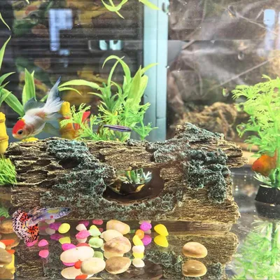 Pawzy Ornement pour aquarium-écorce artificielle