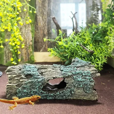 Pawzy Ornement pour aquarium-écorce artificielle