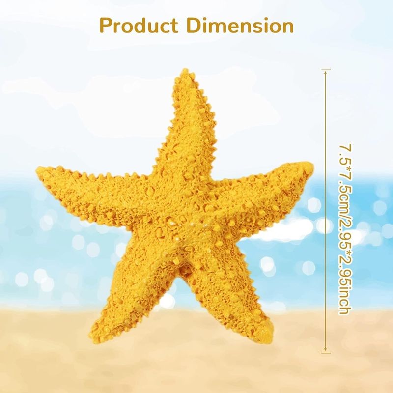 ZooVenture Étoiles de mer en résine pour aquarium