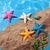ZooVenture Étoiles de mer en résine pour aquarium