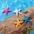 ZooVenture Étoiles de mer en résine pour aquarium