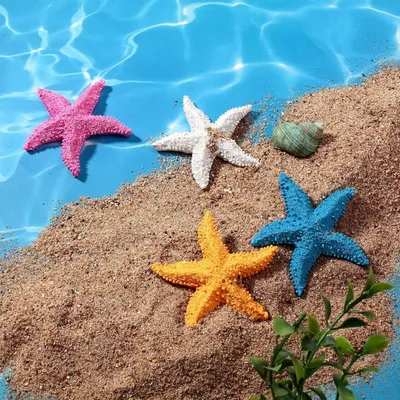 ZooVenture Étoiles de mer en résine pour aquarium