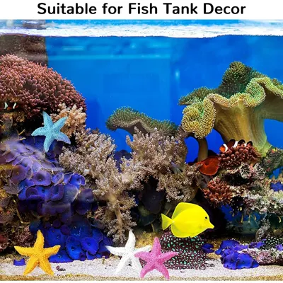ZooVenture Étoiles de mer en résine pour aquarium