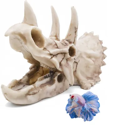 ZooVenture Décoration d'aquarium en forme de dinosaure pour poissons