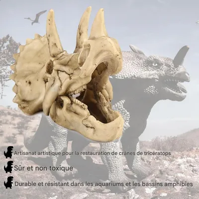 ZooVenture Décoration d'aquarium en forme de dinosaure pour poissons