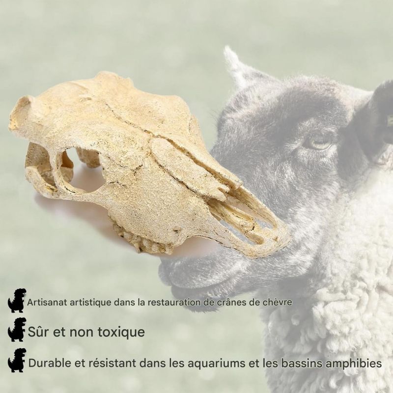 ZooVenture Décoration d'aquarium en forme de dinosaure pour poissons